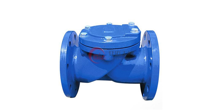 HC44X(SFCV)橡胶瓣止回阀