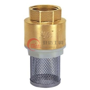 黄铜带网底阀