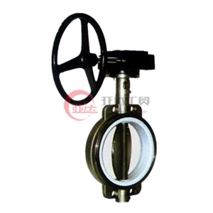 对夹四氟不锈钢蝶阀